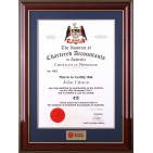 Chartered Accountants certificate frame